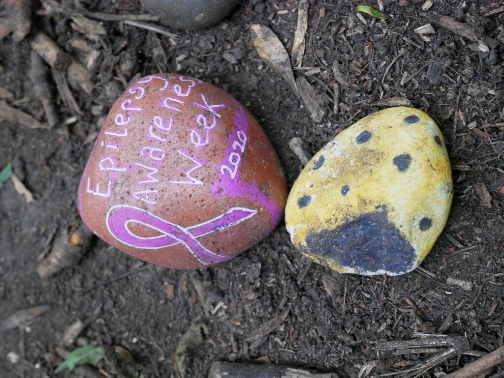 A pebble painted with a purple ribbon and the words "Epilepsy Awareness Week 2020"