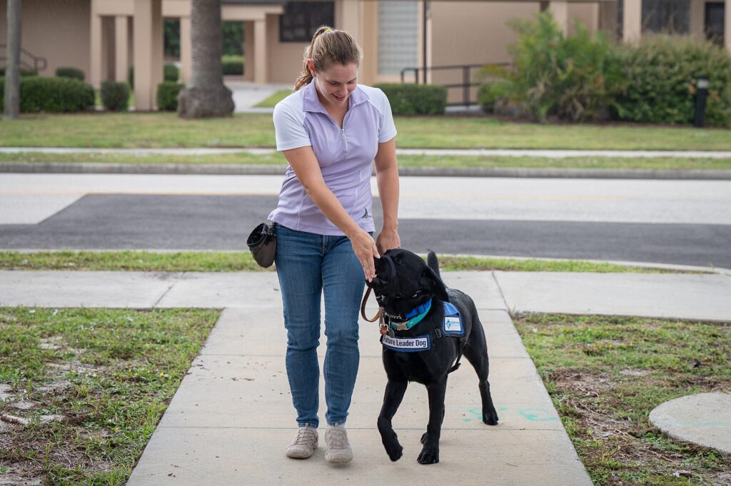 A woman walking a black Labrador service dog in a training vest along a path